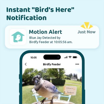 Image showing 6 th Birdfy Wireless Smart Bird Feeder with HD Video, Stream & Identify Birds from Anywhere with Advanced AI