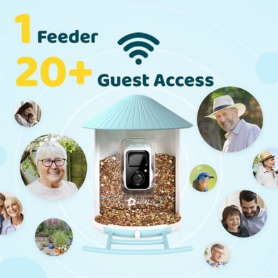Image showing 7 th Birdfy Wireless Smart Bird Feeder with HD Video, Stream & Identify Birds from Anywhere with Advanced AI