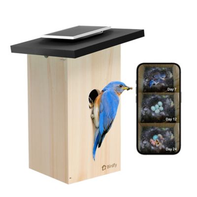 Image showing  A Smart Bird House with Built-In Observation: Watch Nesting & Hatching in Vibrant Detail, Effortlessly, Ebony