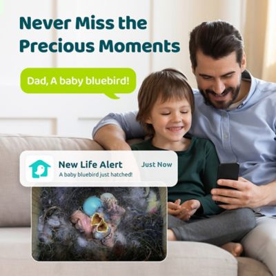 Image showing  A Smart Bird House with Built-In Observation: Watch Nesting & Hatching in Vibrant Detail, Effortlessly, Ebony