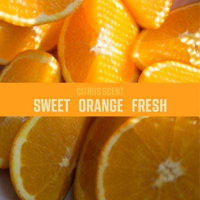 Image showing  Citrus Air Sanitizer, 0.8 oz.