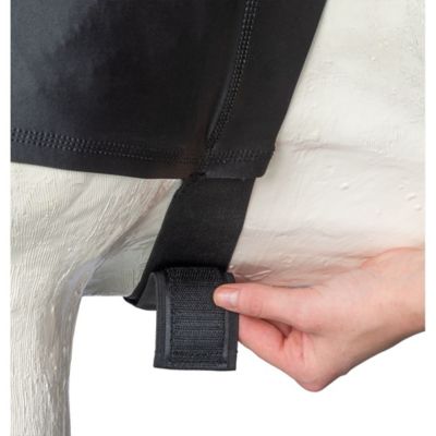 Image showing  Lycra Faceless Mane Stay Hood