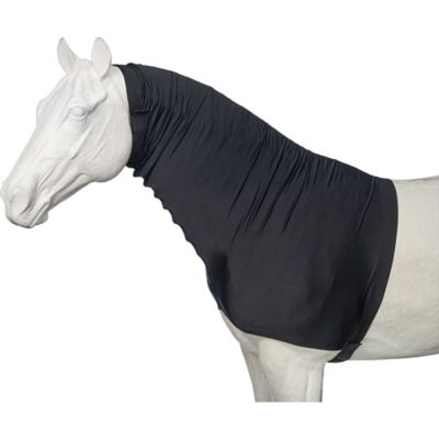 Image showing  Lycra Faceless Mane Stay Hood