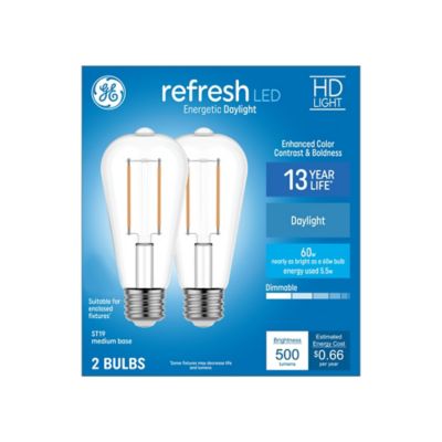 Image showing 1 th GE Refresh HD Daylight 60 W ST19, 2 pk.