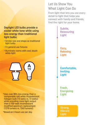 Image showing  Daylight LED 100 W A19, 4 pk.