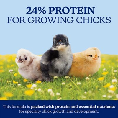 Image showing  Silkie & Ornamental Chick Starter Grower Clean Mini Crumble 30 lb.