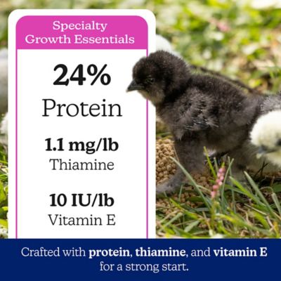 Image showing  Silkie & Ornamental Chick Starter Grower Clean Mini Crumble 30 lb.