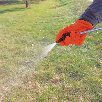 Image showing  5 Gallon Portable Spot Sprayer