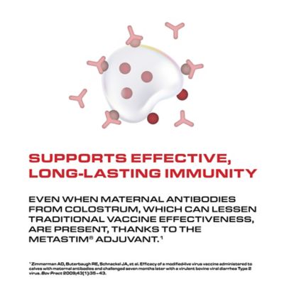Image showing  Pyramid 5, 10 Dose