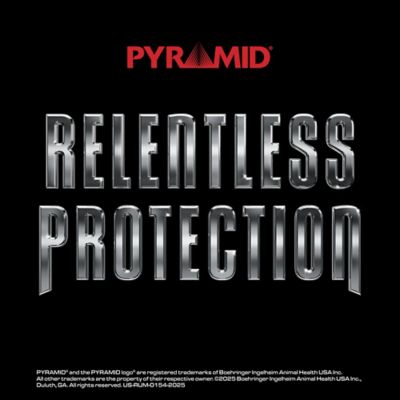 Image showing 6 th Boehringer Ingelheim Pyramid 5, 10 Dose