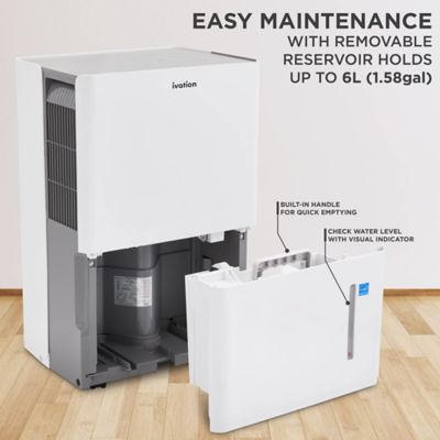 Image showing 5 th Ivation 35 Pint Energy Star Dehumidifier