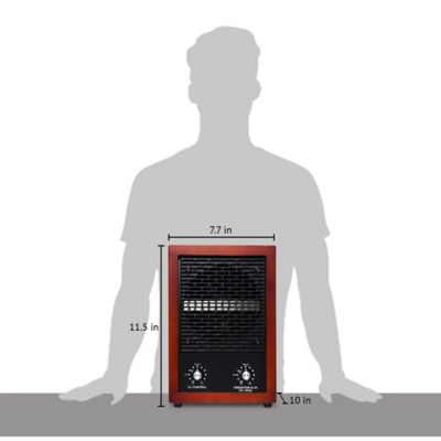 Image showing  HEPA Air purifier & Ozone Generator
