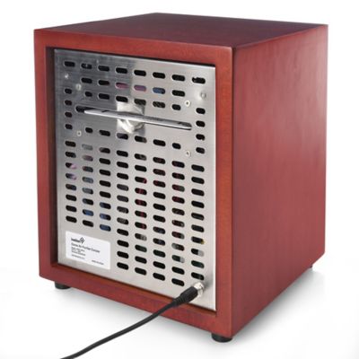 Image showing  Air Purifier Ozone Gen 1000mg/h, Ion 20x106/cm3