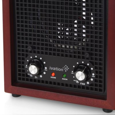 Image showing  Air Purifier Ozone Gen 1000mg/h, Ion 20x106/cm3