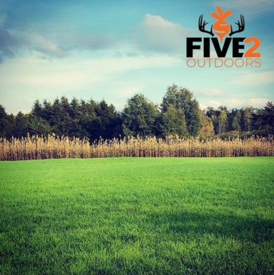 Image showing  Grain Bin Plot Seed