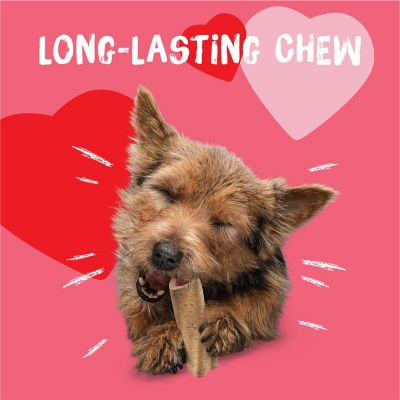 Image showing  Valentine Mini Long Lasting Chew Dog Treat, 4 pk.