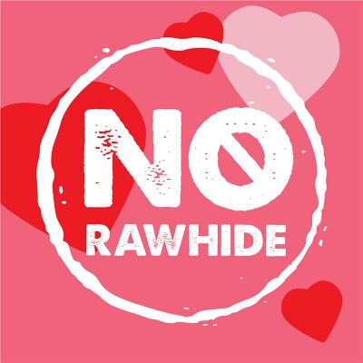 Image showing  Valentine Mini Long Lasting Chew Dog Treat, 4 pk.