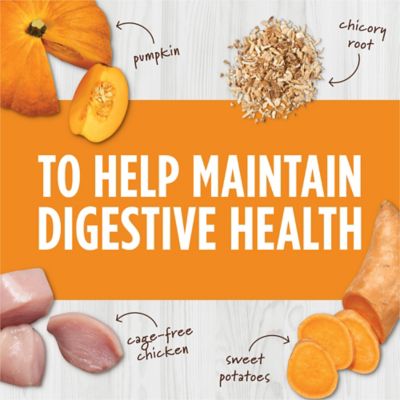 Image showing  Raw Boost Mixers Digestive Health Freeze-Dried Raw Dog Food Topper, 5.5 oz.