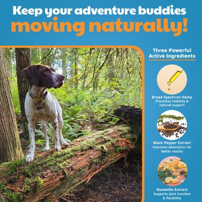 Image showing  Hemp Mobility Soft Chews for Dogs, 60ct