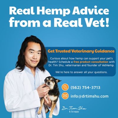Image showing 6 th VetHemp Hemp Mobility Soft Chews for Dogs, 120ct
