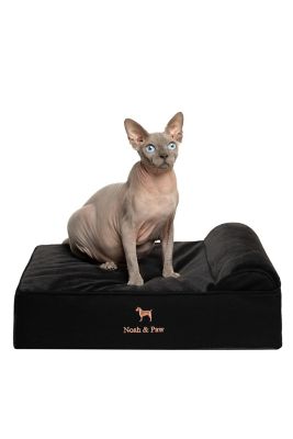 NOAH & PAW Orthopedic Classic Pet Bed Composed of Egg Crate Memory Foam Infused with Cooling Gel, Denim