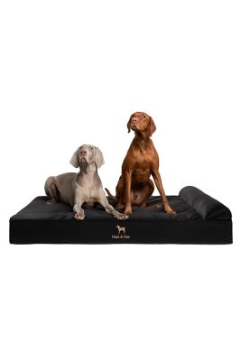 NOAH & PAW Orthopedic Classic Pet Bed Composed of Egg Crate Memory Foam Infused with Cooling Gel, Denim