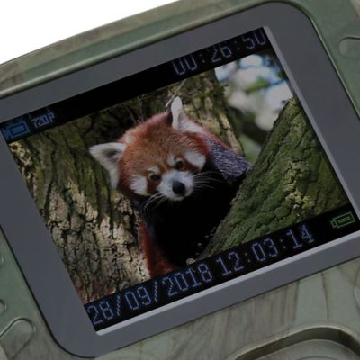 Image showing 5 th Technaxx TX-117 1080p Full HD Battery-Operated Security and Mini Nature Wild Cam, Camouflage