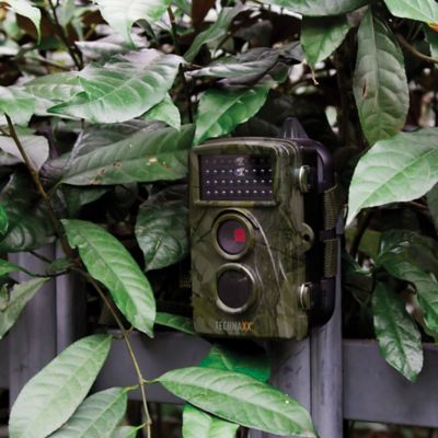Image showing  TX-69 1080p Full HD Battery-Operated Security and Nature Wild Cam, Camouflage