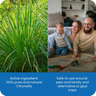 Image showing  Skeeter Beaters Mosquito & Bug Wearable Mini Clips On Clothing, Hat, Belt, Shoes - Set of 10