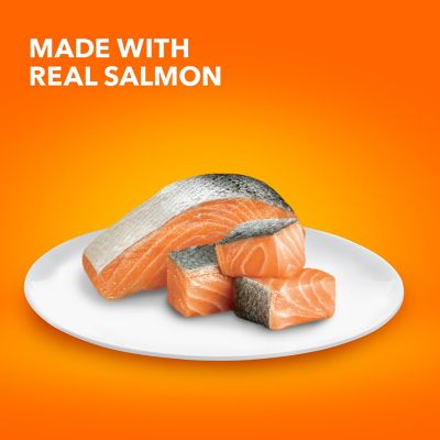 Image showing  Proactive Health Indoor Weight & Hairball Care Adult Dry Cat Food with Salmon, 22 lb. Bag
