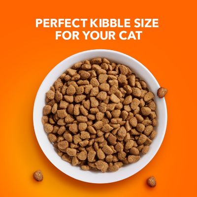 Image showing  Proactive Health Indoor Weight & Hairball Care Adult Dry Cat Food with Salmon, 22 lb. Bag