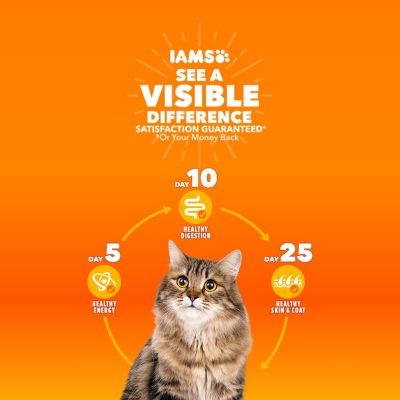 Image showing  Proactive Health Indoor Weight & Hairball Care Adult Dry Cat Food with Salmon, 22 lb. Bag