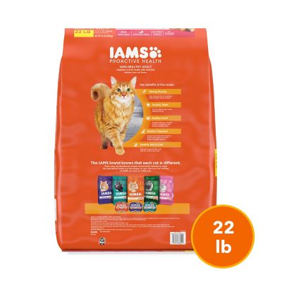 Image showing  Proactive Health Salmon Flavor Dry Cat Food for Adult Cats, 22 lb Bag