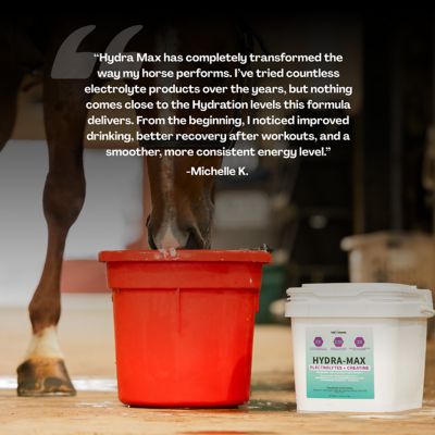 Image showing 2 th 100X Equine HydraMax