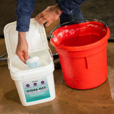 Image showing 3 th 100X Equine HydraMax