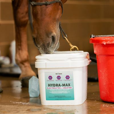 Image showing 4 th 100X Equine HydraMax