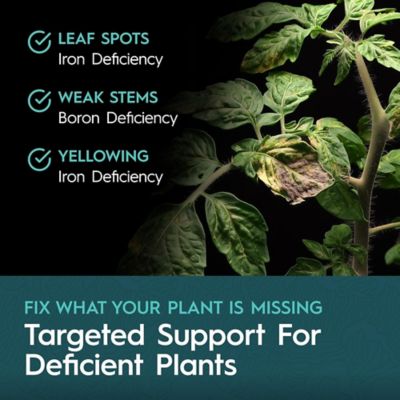 Image showing  5 lb. (2.27 kg) Powder D Chelated Micronutrient Formula Fruiting & Flowering Plants Dry Plant Fertilizer 0-0-0 1-Pack