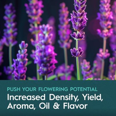 Image showing  5 Gallon (18.93L) Flex PK Booster Liquid Plant Fertilizer Fruiting & Flowering Plants 0-10-10 1-Pack