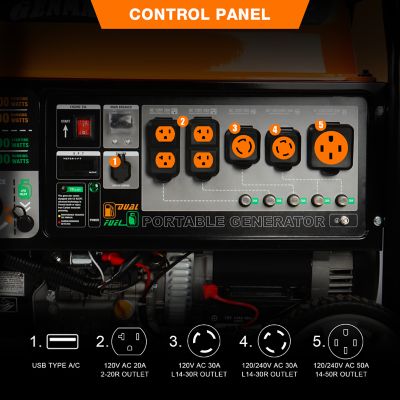 Image showing  12,000 W Peak Dual Fuel Electric Start Generator