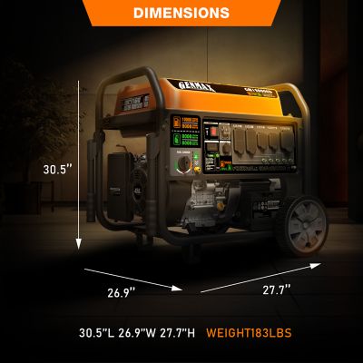 Image showing  12,000 W Peak Dual Fuel Electric Start Generator