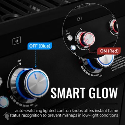 Image showing 5 th Royal Gourmet 5-Burner Gas Grill, With Infrared Side Burner, 72,000 BTU, Visible Upper Cover,Black