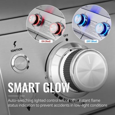 Image showing  Deluxe Stainless Steel 6-Burner Gas Grill with Side & Infrared Rear Burners, 96,000 BTU, 891 Sq. In.