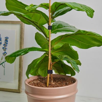 Image showing  Self-Gripping Perforated Roll 12 ft. x 0.75 in.