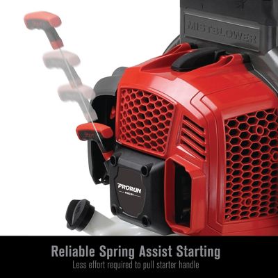 Image showing 7 th PRORUN 75.6cc Gas-Powered 2-Cycle Backpack Mist Blower with 4-Gallon Tank