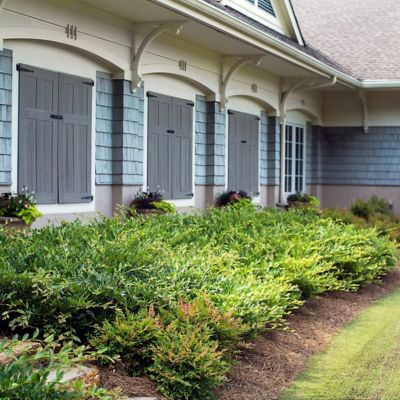 Image showing  3 gal. Distillum Vintage Jade