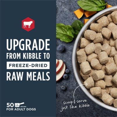 Image showing  Raw Meals Real Beef Recipe Grain-Free Adult Freeze-Dried Dog Food, 25 oz.