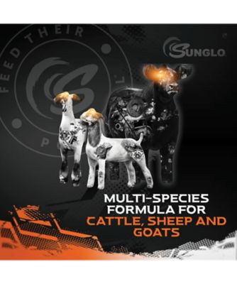 Image showing  Epic with Ice 25#