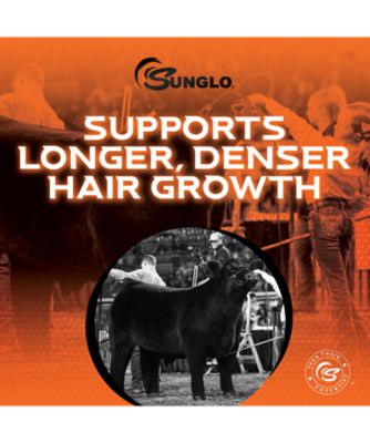 Image showing  Epic with Ice 25#