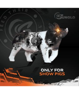 Image showing  Sumo 25#