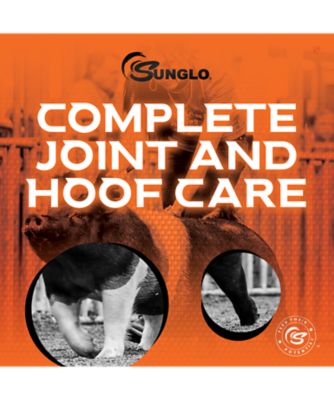 Image showing  Sunglo In Motion 14#